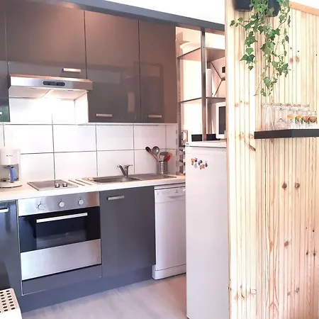 Cosy A - 4 Pers, Balcon, Parking, Skis - Fr-1-457-342