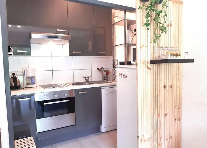 Cosy A - 4 Pers, Balcon, Parking, Skis - Fr-1-457-342